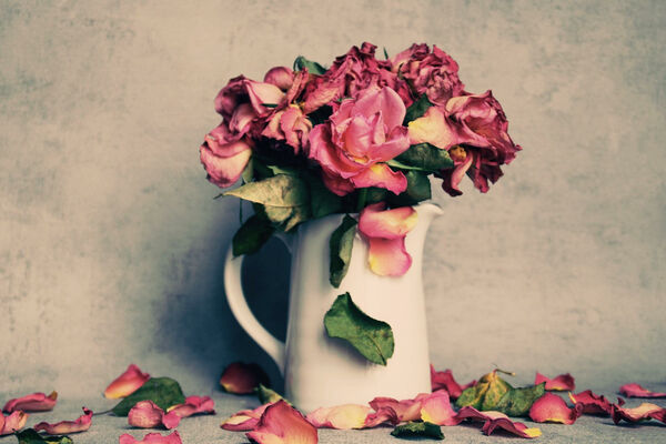 Ein Rosenstrauß in einer weißen Vase mit verwelkenden Blütenblättern.